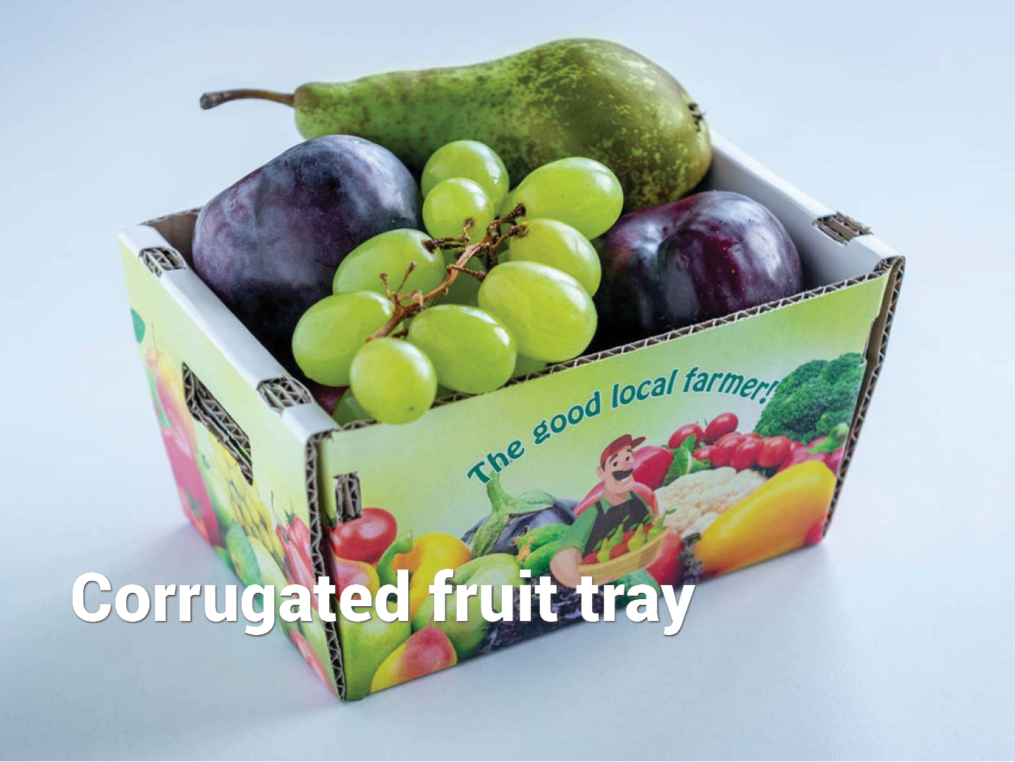 02_CorruJET_corrugated-fruit-tray indd